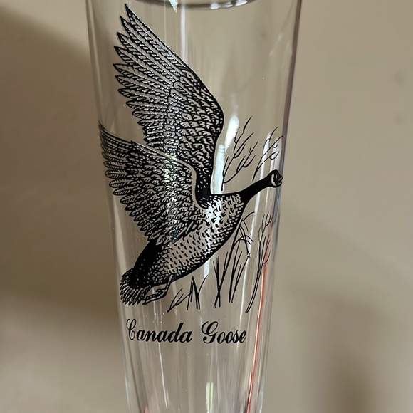 Sportsman Pilsner Glass by FEDERAL GLASS - Picture 4 of 5